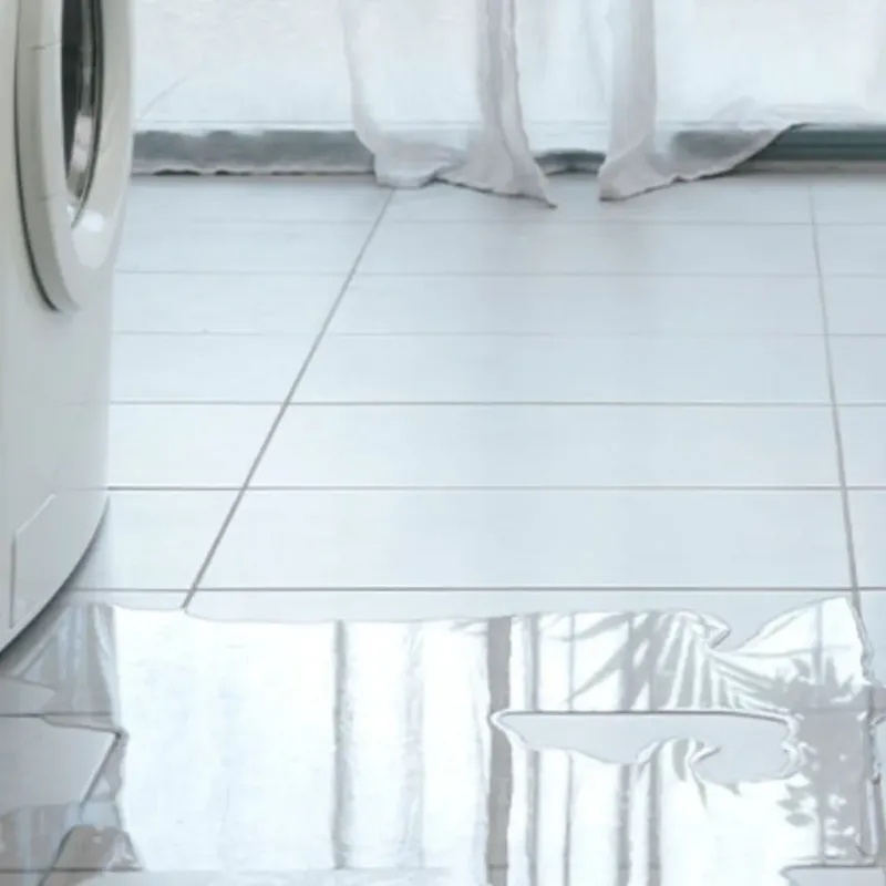 Appliance Leak Cleanup in South Haven, IN