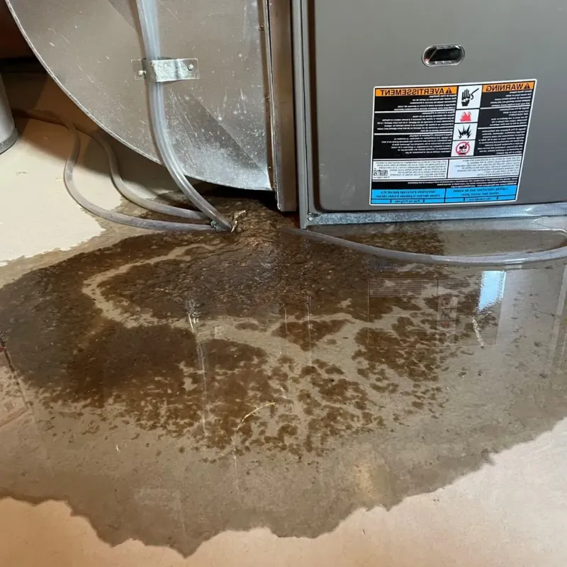 Pipe Burst and Leak Restoration in South Haven, IN